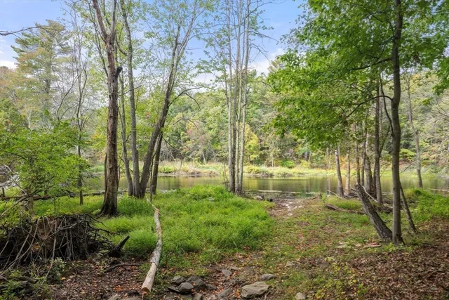 a view of backyard with green space