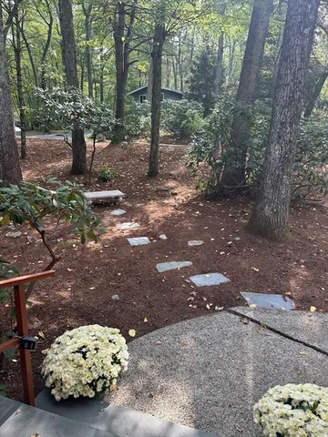 a view of outdoor space with trees