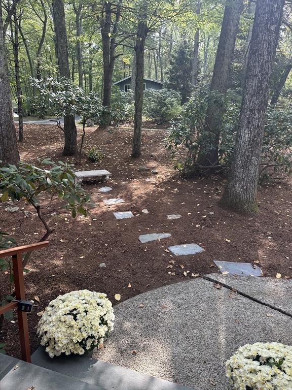 23 Indian Ridge Road Natick, MA 01760 - Photo 39 of 40 a view of outdoor space with trees