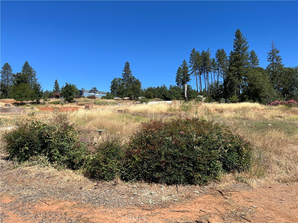 1595 Nunneley Road Paradise, CA 95969 - Photo 2 of 2