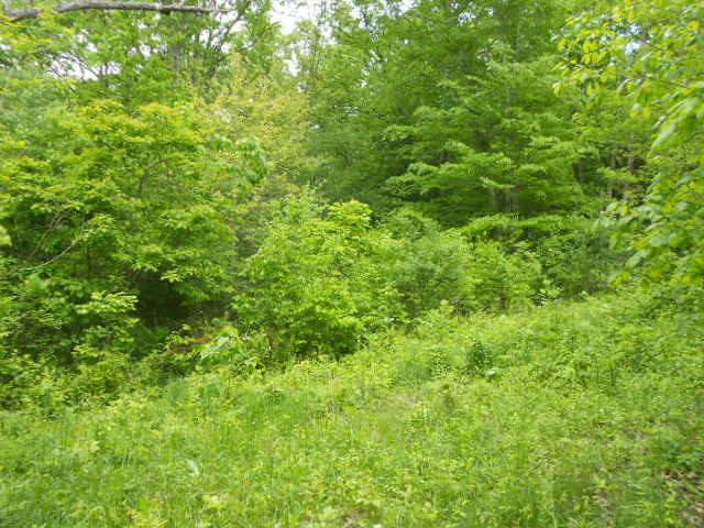 11052 Frankfort Road Waddy, KY 40076 - Photo 3 of 8 Photo 3