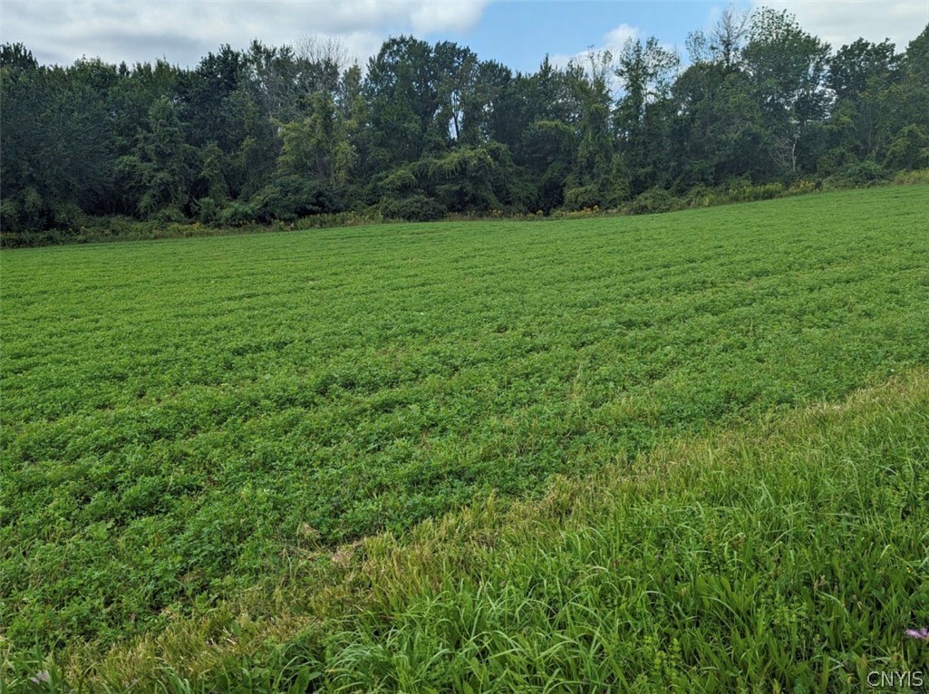 0 Old County Road Morrisville, NY 13408 - Photo 1 of 4 Gallery Image 1