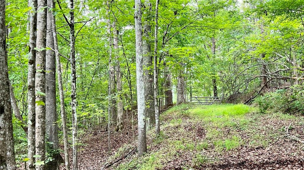 937 Garrett Road Eden, NC 27288 - Photo 7 of 17 Gallery Image 7