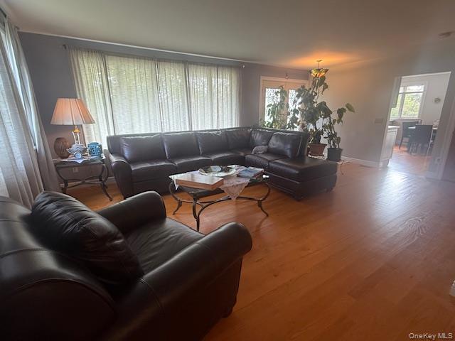 4225 Stars Road East Marion, NY 11939 - Photo 5 of 16 a living room with furniture and a large window