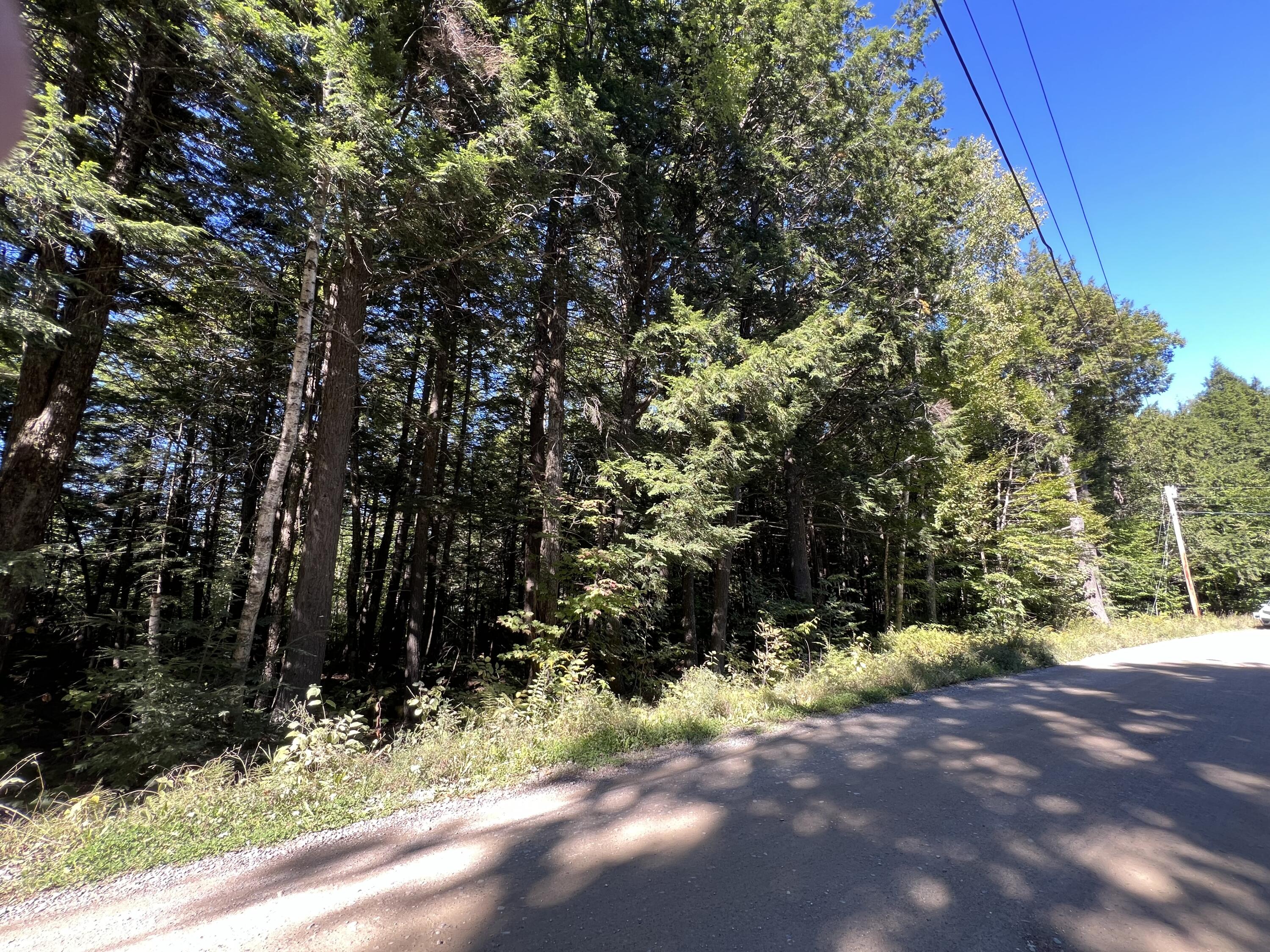 269 Egg Pond Road Lincoln, ME 04457 - Photo 11 of 11 IMG_5102