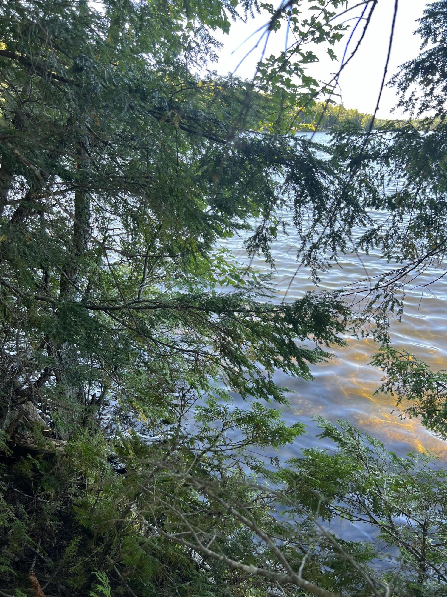 269 Egg Pond Road Lincoln, ME 04457 - Photo 5 of 11 IMG_5089