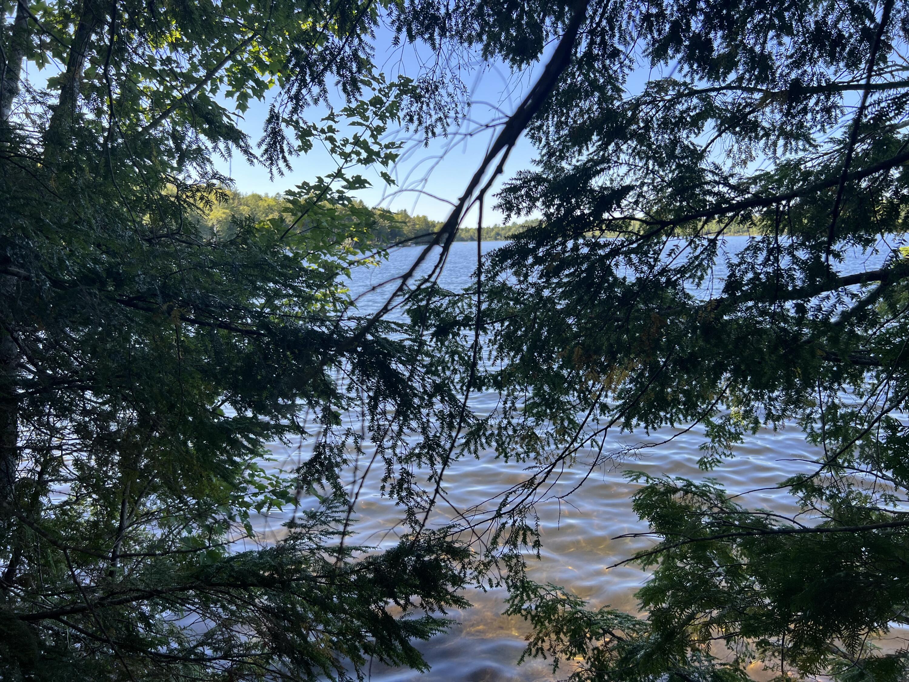 269 Egg Pond Road Lincoln, ME 04457 - Photo 7 of 11 IMG_5091