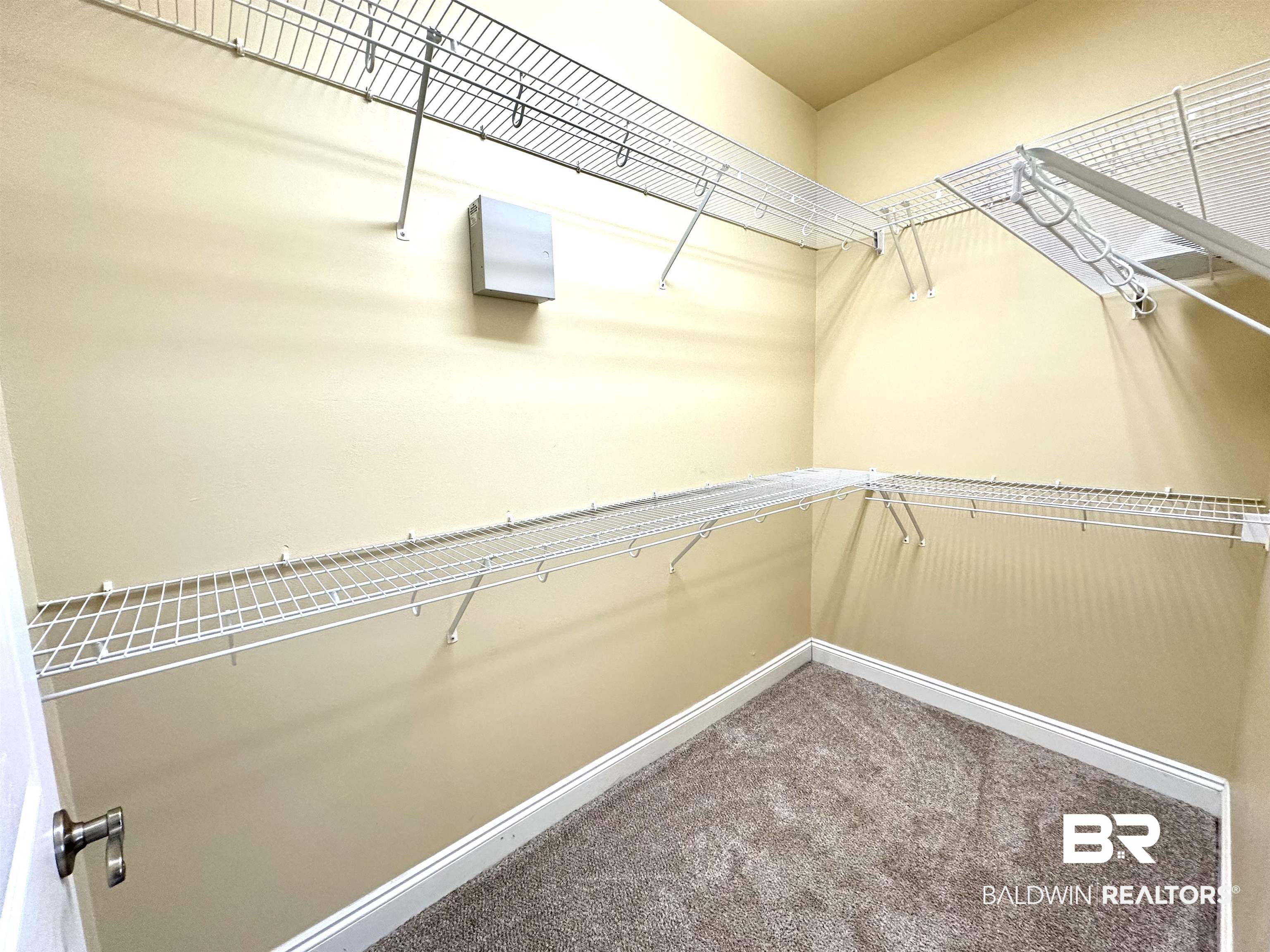 249 Hemingway Loop Foley, AL 36535 - Photo 14 of 33 Spacious closet featuring carpet flooring