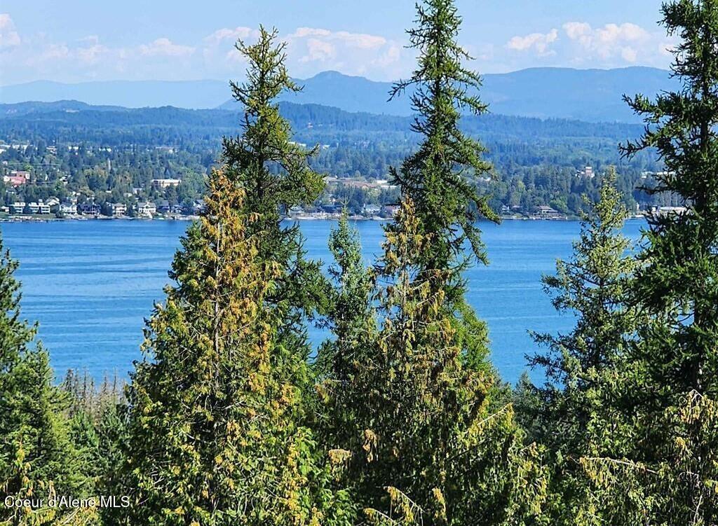 Lot 3 Mountain Ridge Drive Sagle, ID 83860 - Photo 1 of 10 1