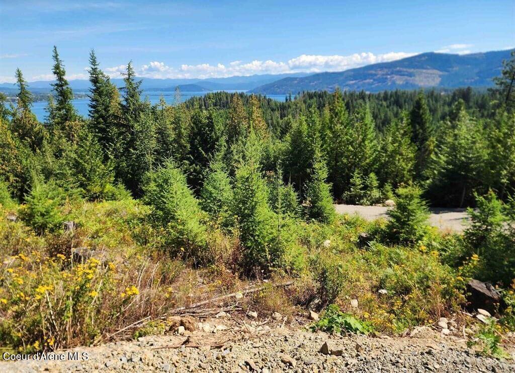 Lot 3 Mountain Ridge Drive Sagle, ID 83860 - Photo 8 of 10 8