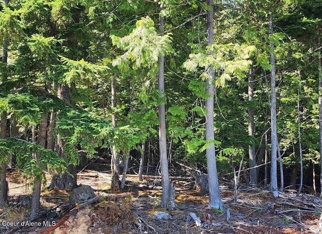 Lot 3 Mountain Ridge Drive Sagle, ID 83860 - Photo 10 of 10 10