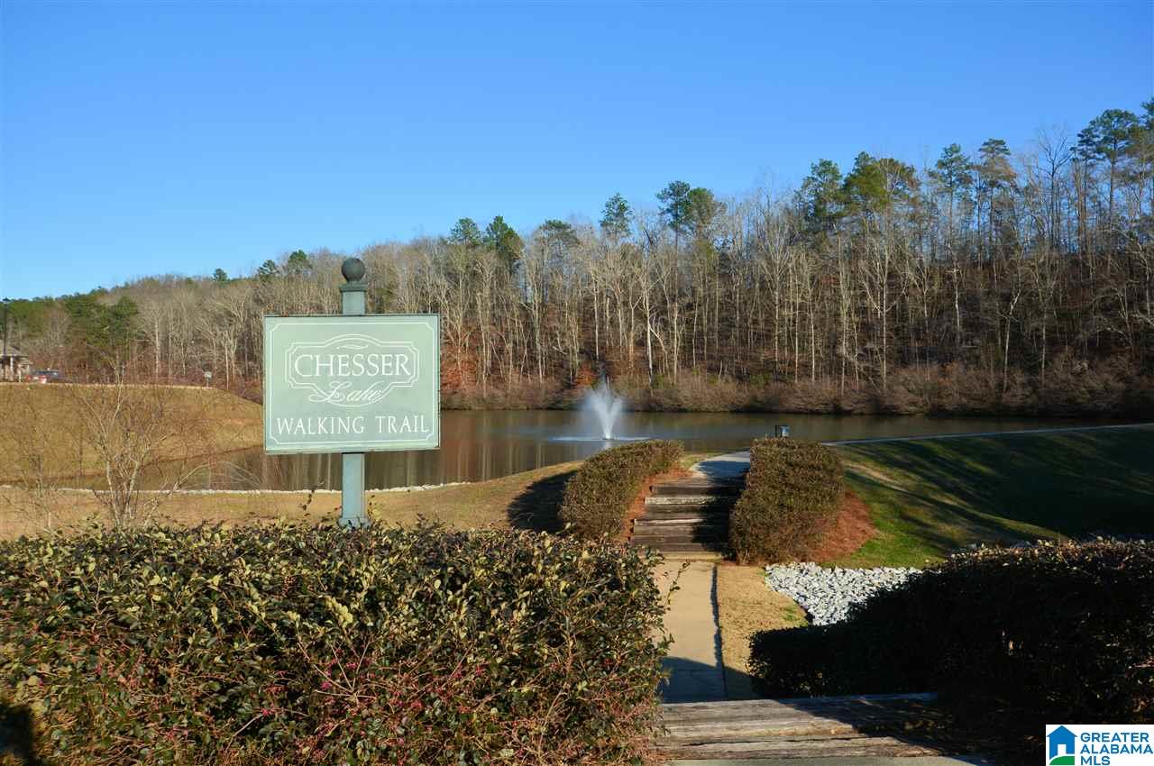 113 Scarlet Lane Chelsea, AL 35043 - Photo 49 of 50