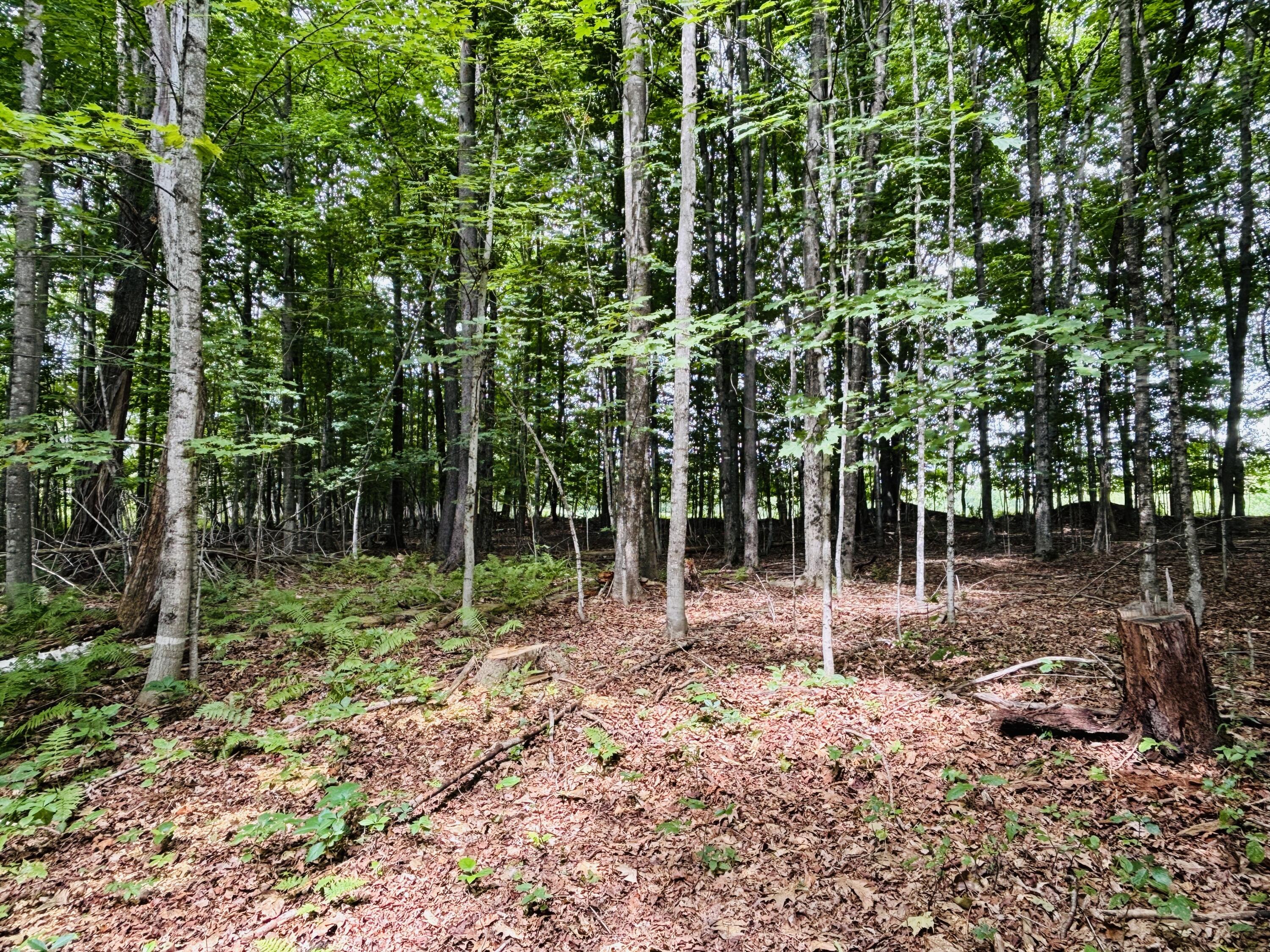 13 Lower Notch Road Garland, ME 04939 - Photo 15 of 27 IMG_0206