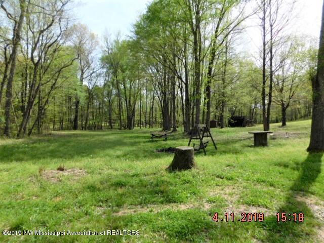 208 Misty Ridge Road Byhalia, MS 38611 - Photo 20 of 20 DSCN1988
