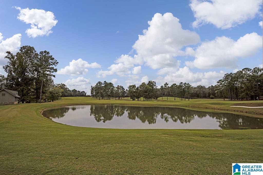 1020 Valhalla Way Calera, AL 35040 - Photo 46 of 47 Gallery Image 46