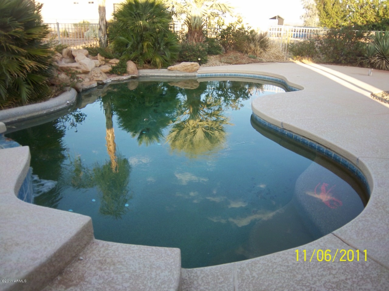 22408 West Peak View Road Wittmann, AZ 85361 - Photo 7 of 22 Resort style backyard and pool