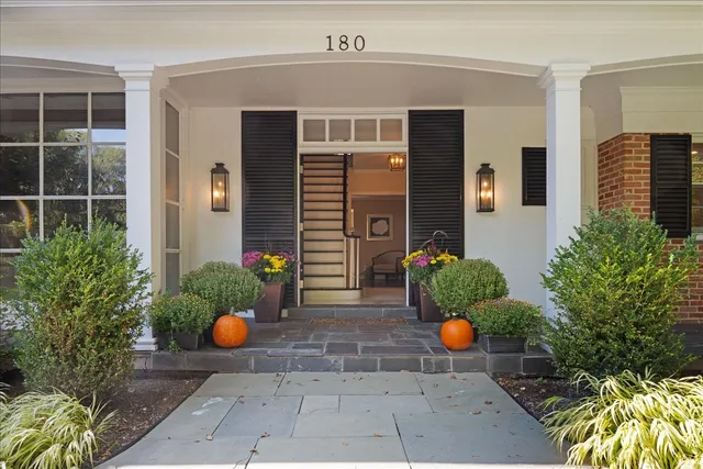 a outdoor space with a potted plant and more windows
