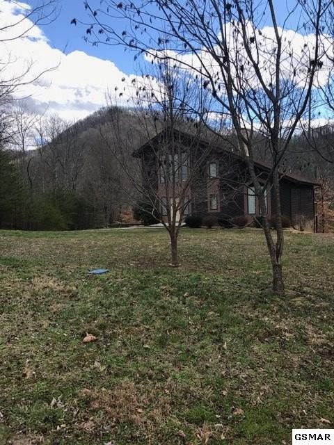 3839 Bear Track Way Del Rio, TN 37727 - Photo 2 of 36 Gallery Image 2