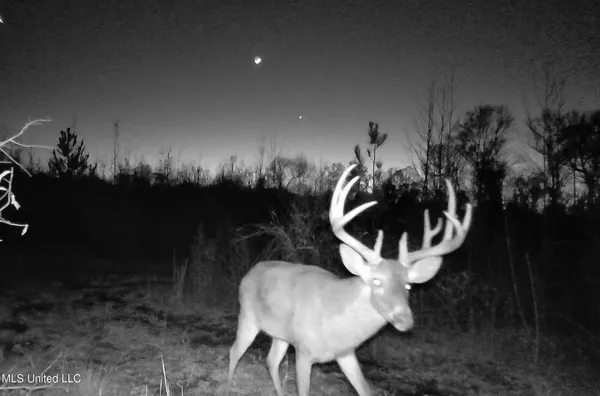 $544,000 | 0 River Bend Road, Lena, MS 39094