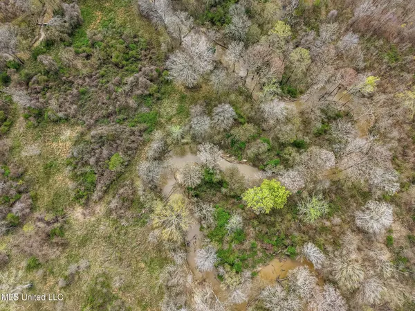 $544,000 | 0 River Bend Road, Lena, MS 39094