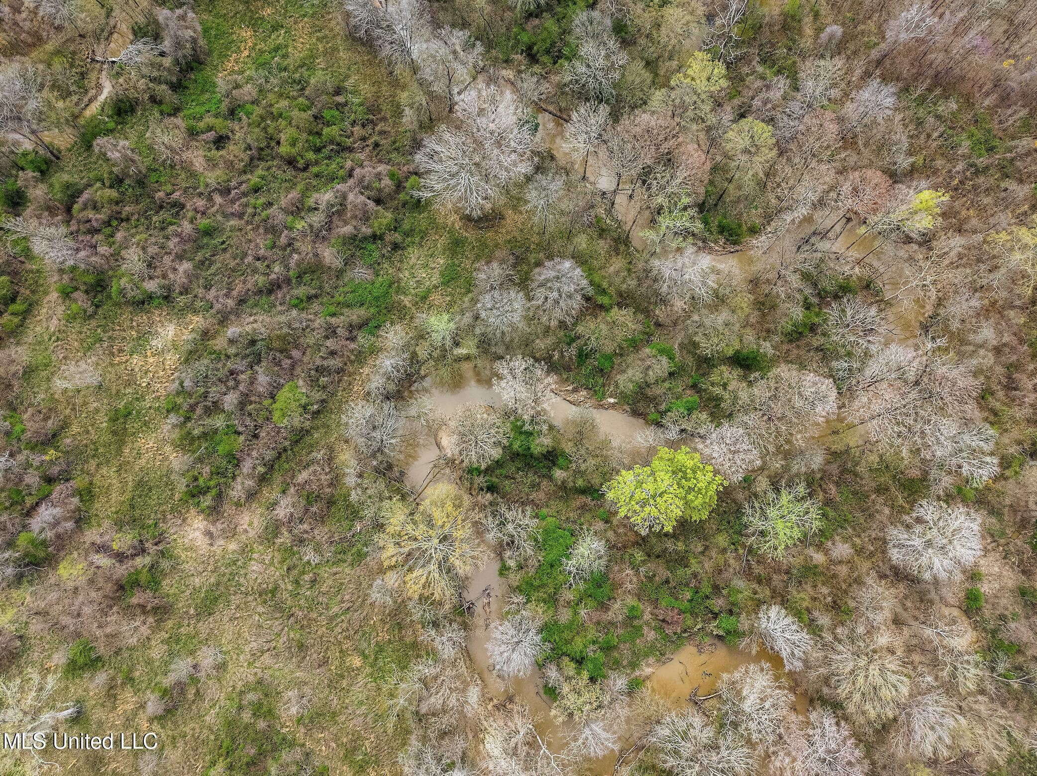 0 River Bend Road Lena, MS 39094 - Photo 11 of 33 Screen Shot 2025-09-25 at 6.32.40 PM