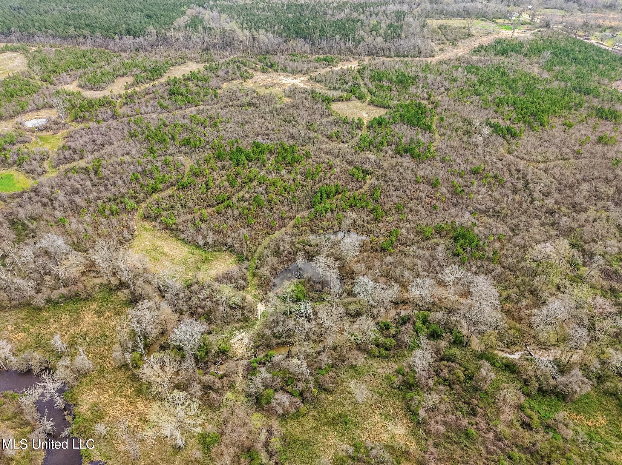 0 River Bend Road Lena, MS 39094 - Photo 12 of 33 Screen Shot 2025-09-25 at 6.32.52 PM
