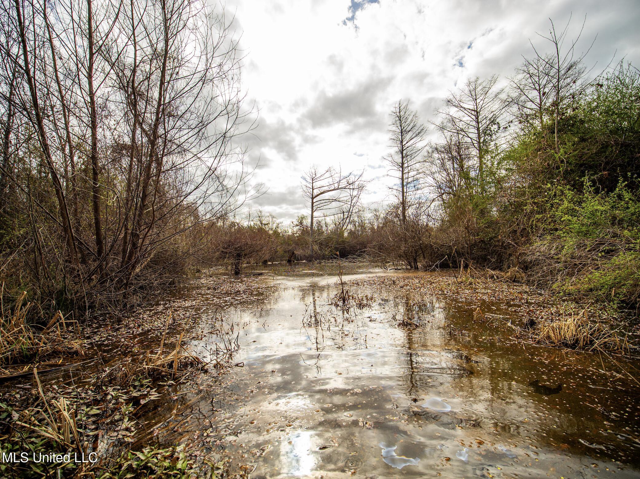 0 River Bend Road Lena, MS 39094 - Photo 13 of 33 Screen Shot 2025-09-25 at 6.35.08 PM