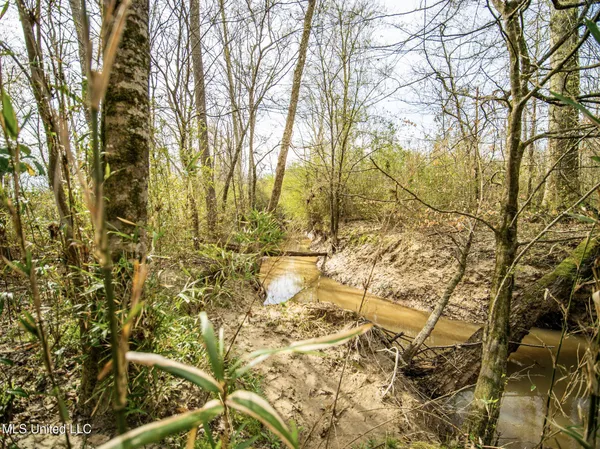 $544,000 | 0 River Bend Road, Lena, MS 39094