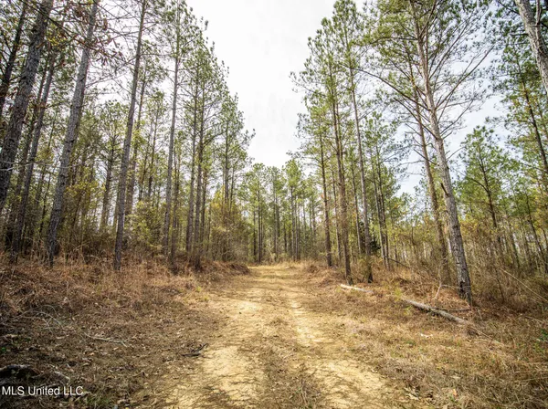 $544,000 | 0 River Bend Road, Lena, MS 39094