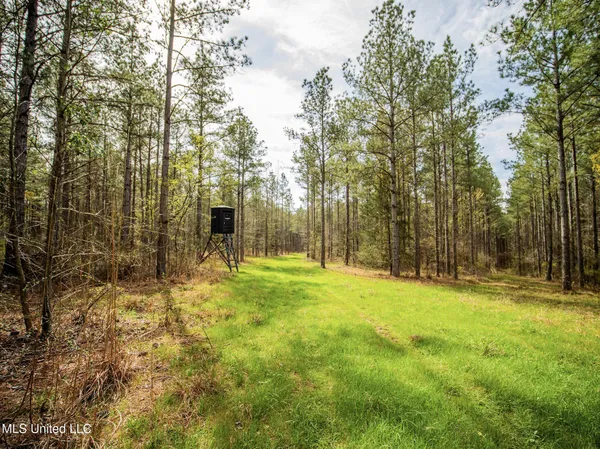 $544,000 | 0 River Bend Road, Lena, MS 39094