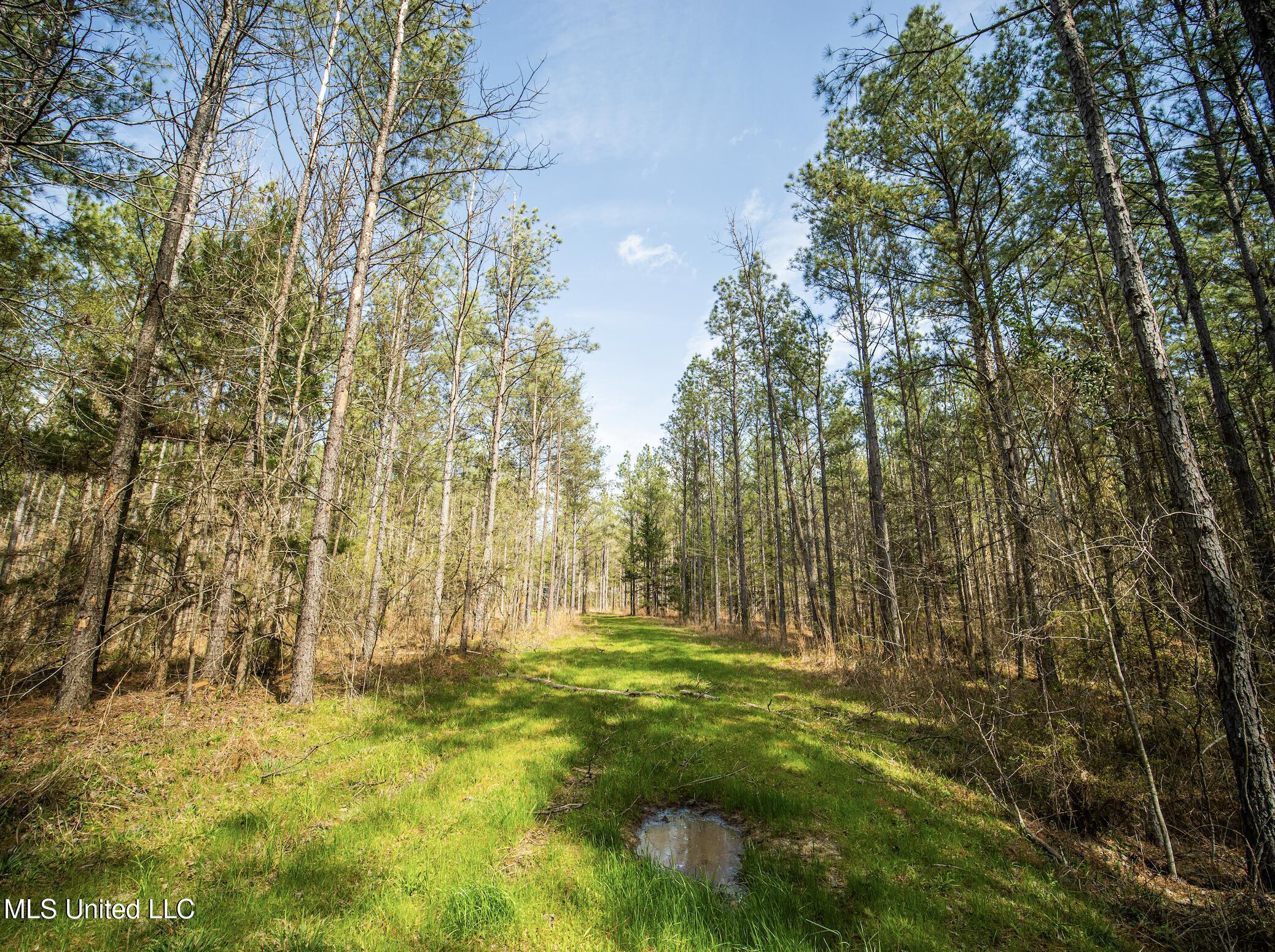0 River Bend Road Lena, MS 39094 - Photo 18 of 33 Screen Shot 2025-09-25 at 6.37.59 PM