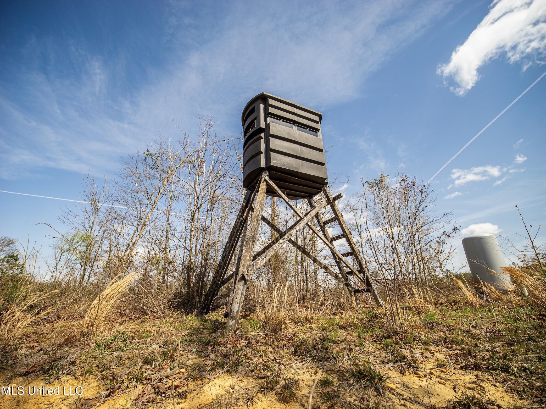 0 River Bend Road Lena, MS 39094 - Photo 19 of 33 Screen Shot 2025-09-25 at 6.38.13 PM