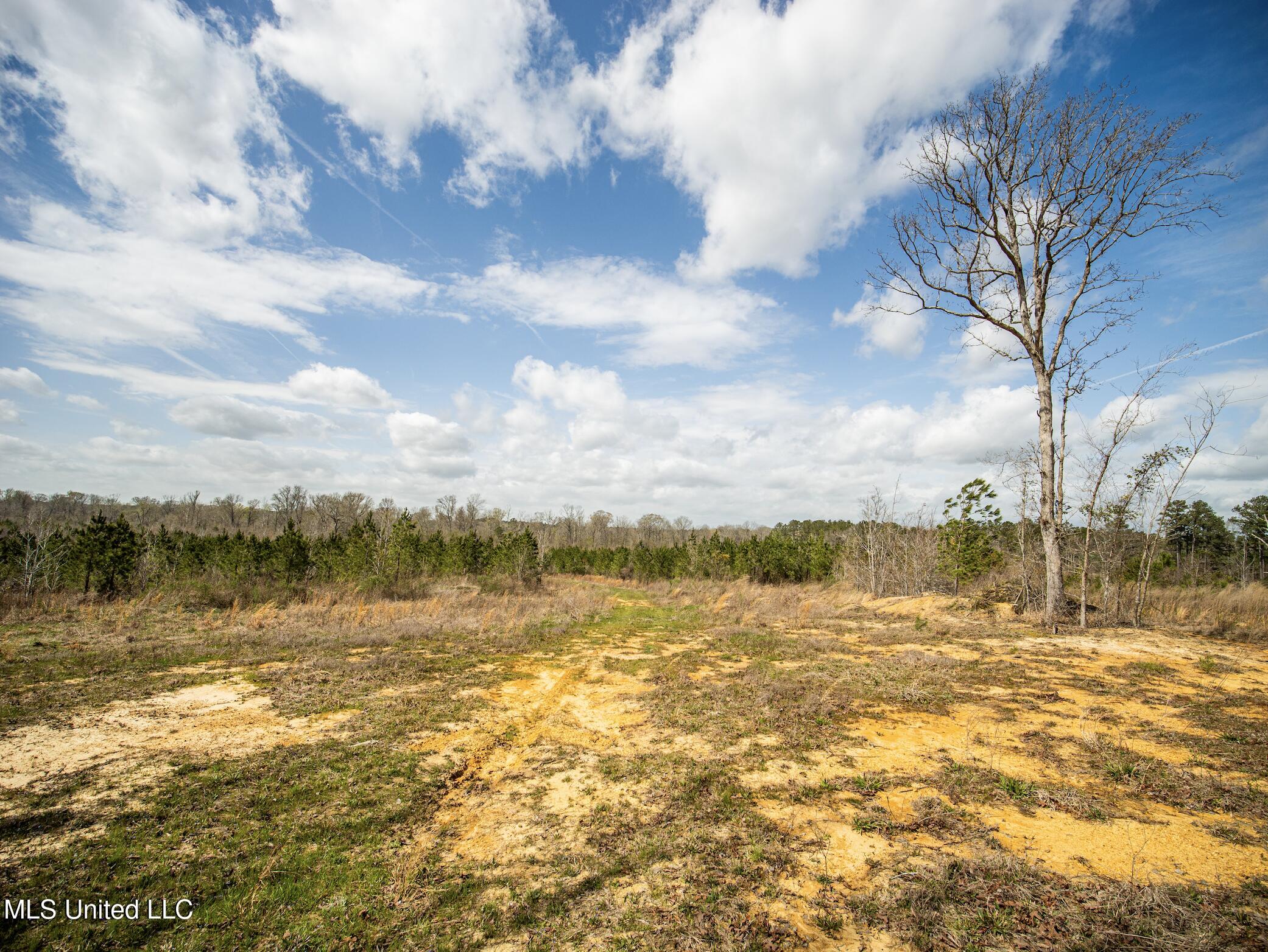 0 River Bend Road Lena, MS 39094 - Photo 20 of 33 Screen Shot 2025-09-25 at 6.38.29 PM