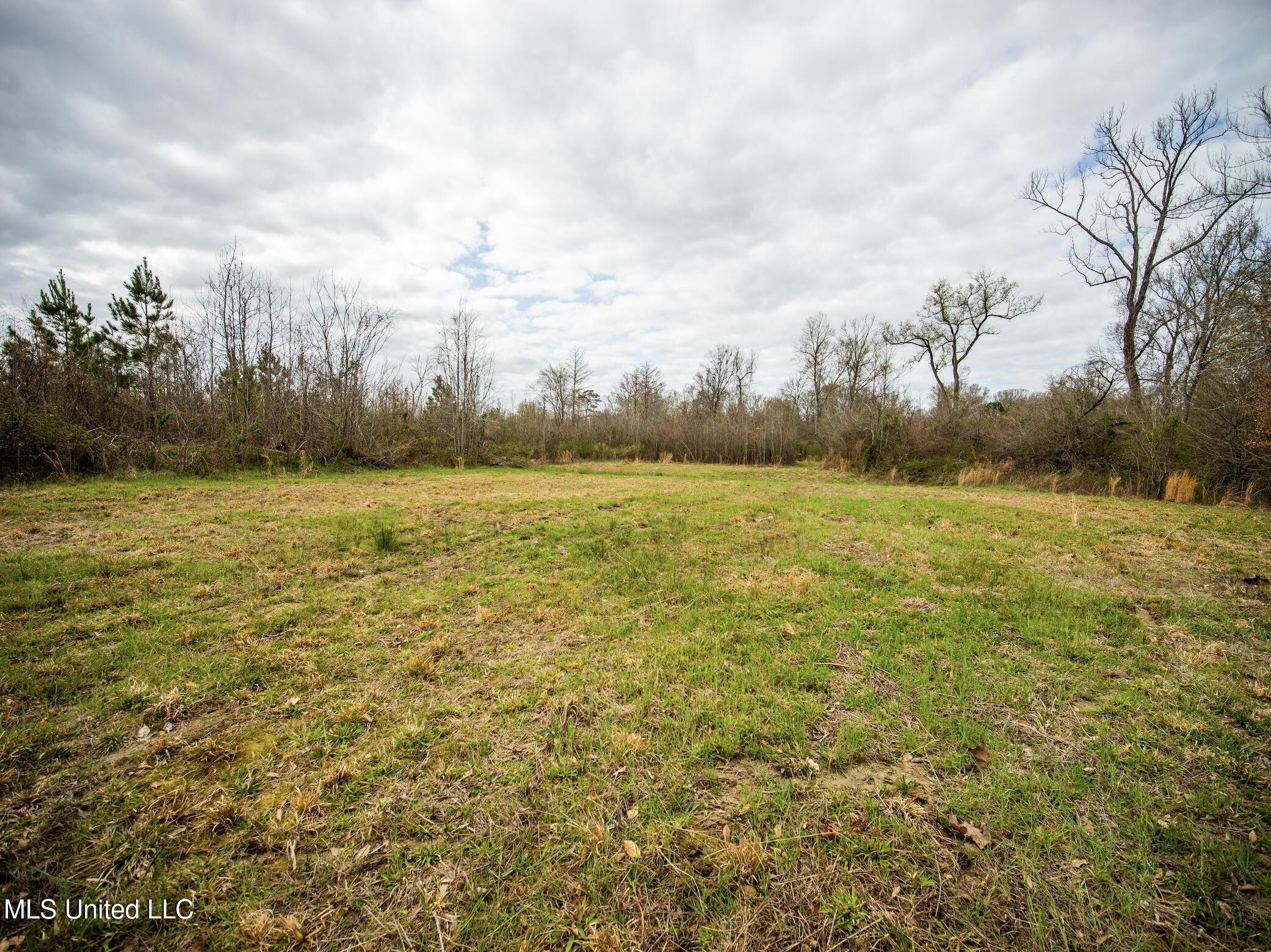 0 River Bend Road Lena, MS 39094 - Photo 2 of 33 Screen Shot 2025-09-25 at 6.34.54 PM