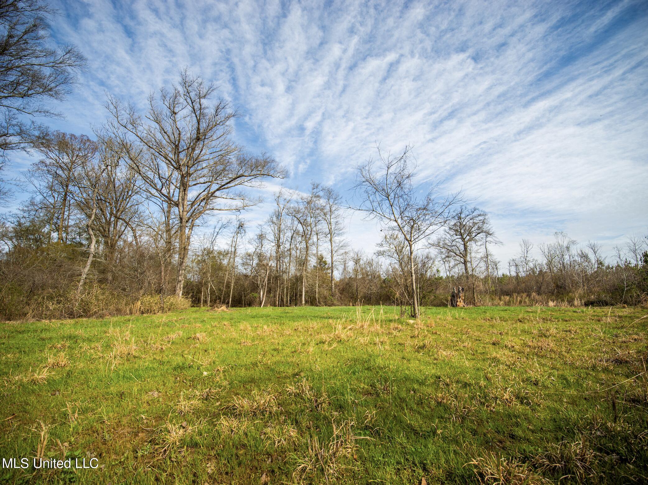 0 River Bend Road Lena, MS 39094 - Photo 21 of 33 Screen Shot 2025-09-25 at 6.35.43 PM