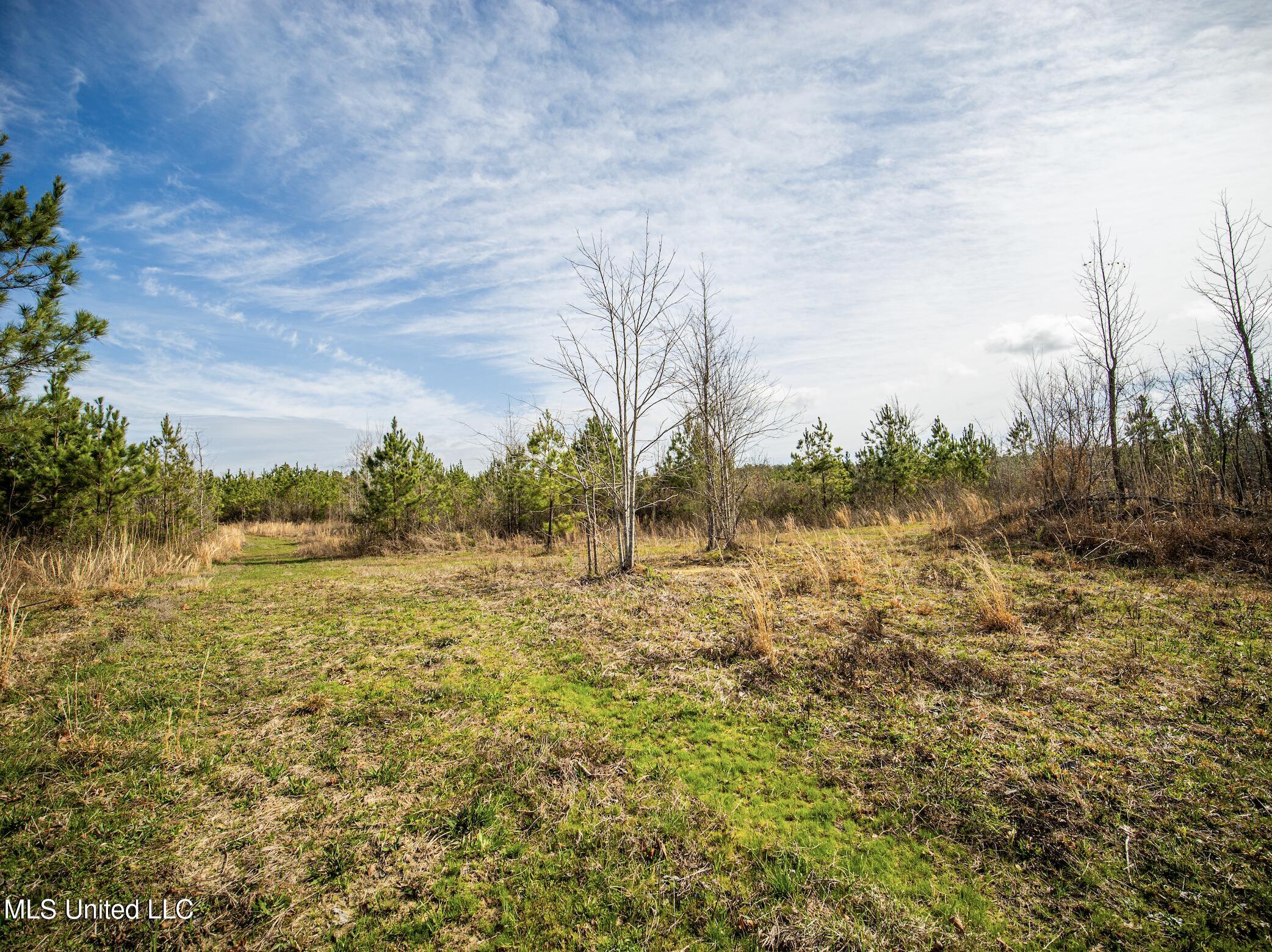 0 River Bend Road Lena, MS 39094 - Photo 22 of 33 Screen Shot 2025-09-25 at 6.35.55 PM
