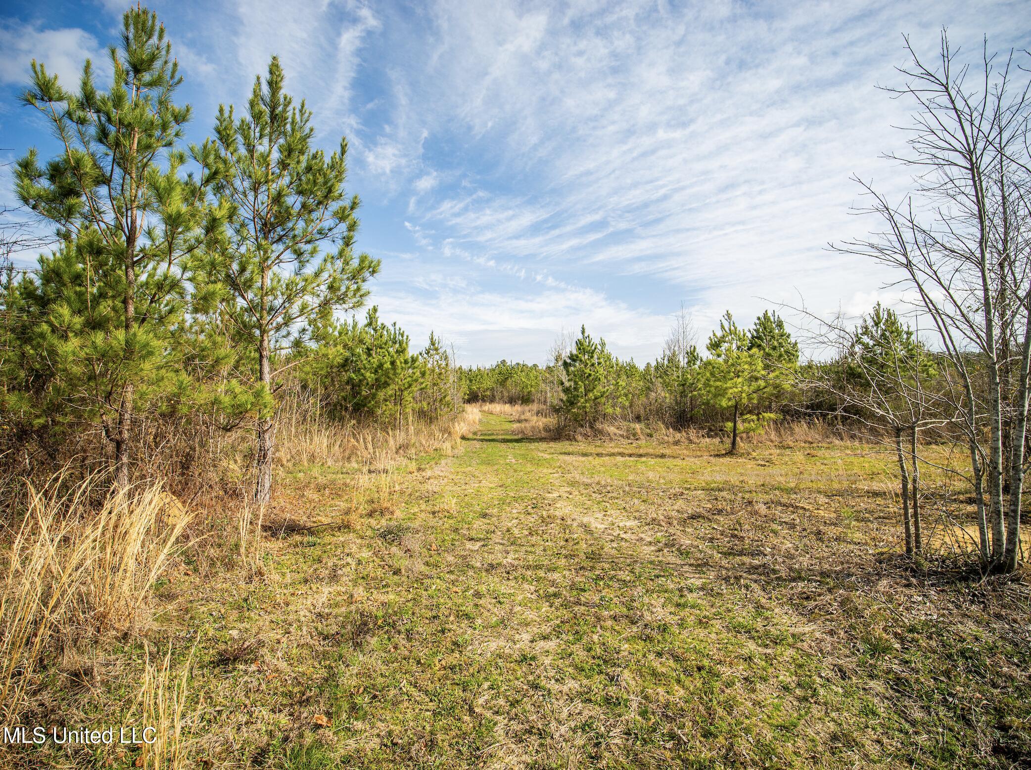 0 River Bend Road Lena, MS 39094 - Photo 23 of 33 Screen Shot 2025-09-25 at 6.36.07 PM