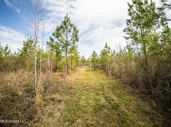 $544,000 | 0 River Bend Road, Lena, MS 39094