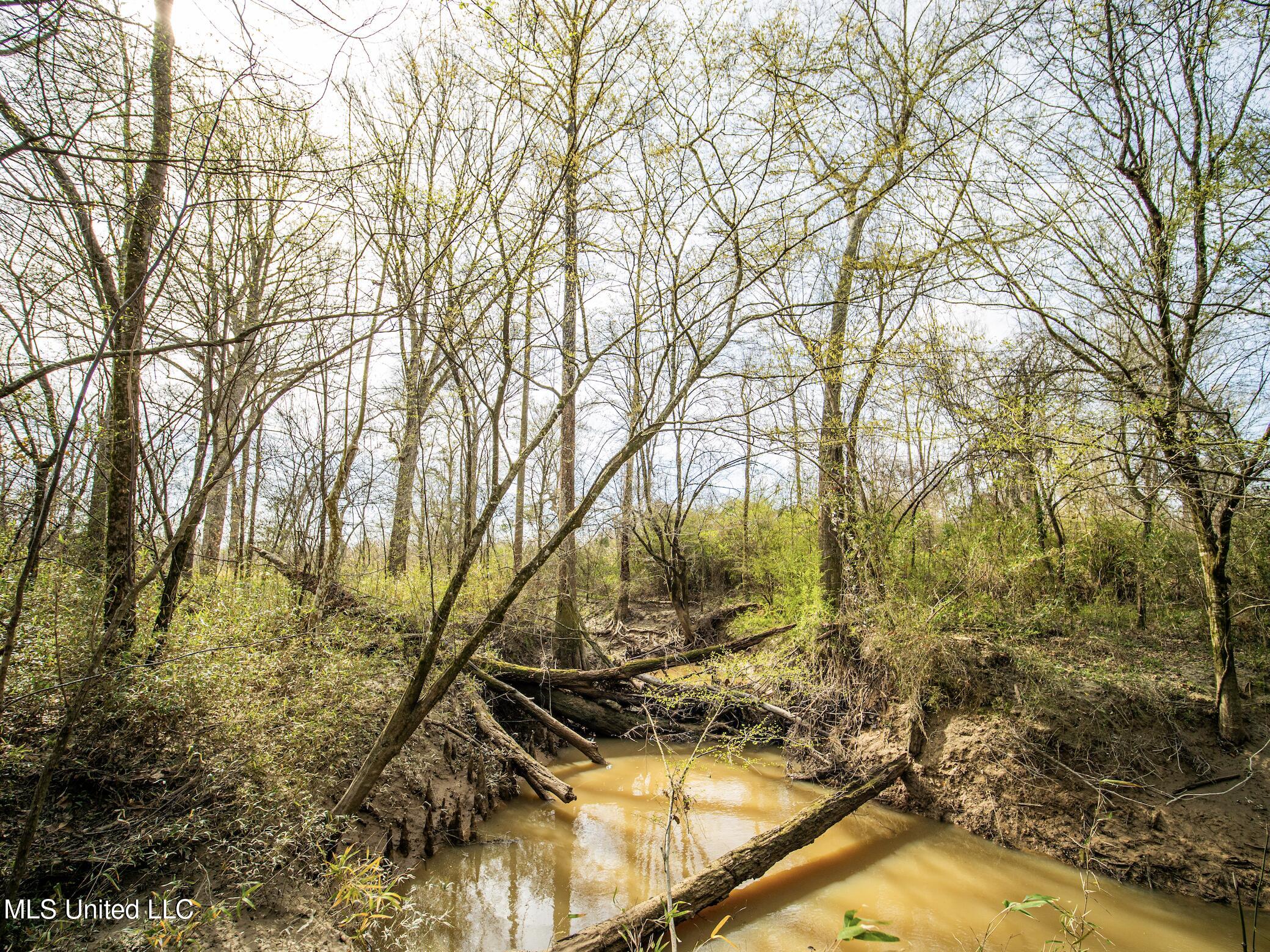 0 River Bend Road Lena, MS 39094 - Photo 25 of 33 Screen Shot 2025-09-25 at 6.36.31 PM