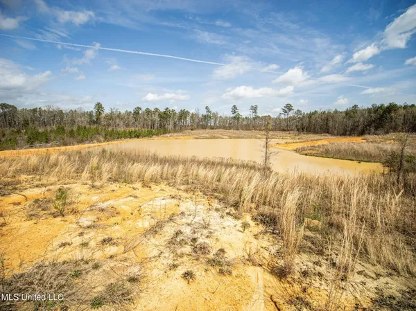 $544,000 | 0 River Bend Road, Lena, MS 39094