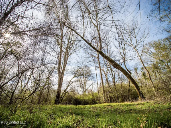 $544,000 | 0 River Bend Road, Lena, MS 39094