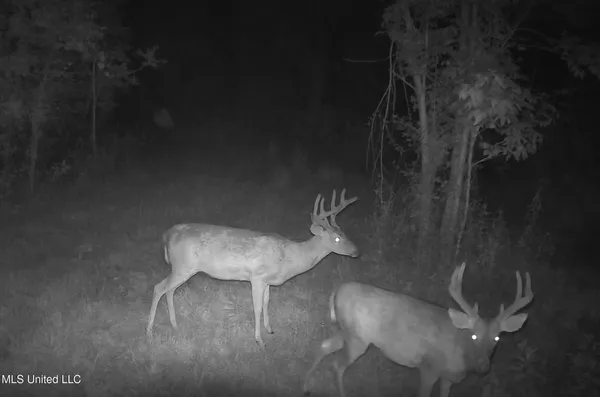 $544,000 | 0 River Bend Road, Lena, MS 39094