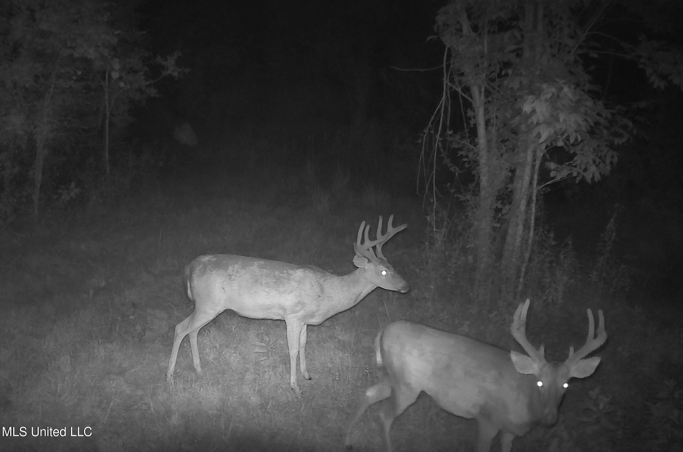 0 River Bend Road Lena, MS 39094 - Photo 31 of 33 Screen Shot 2025-09-25 at 6.34.19 PM