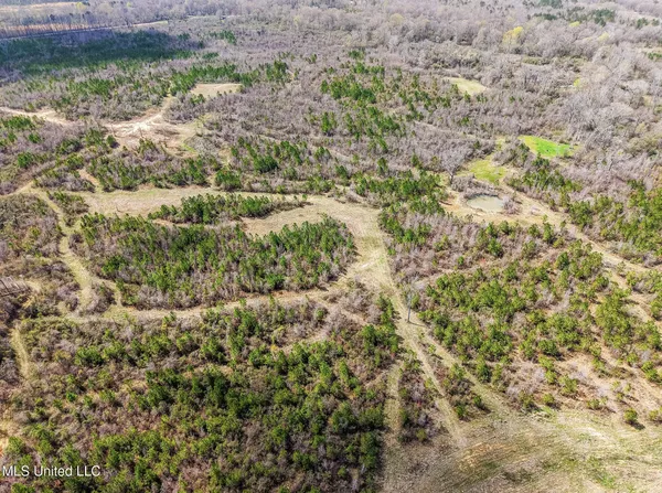$544,000 | 0 River Bend Road, Lena, MS 39094