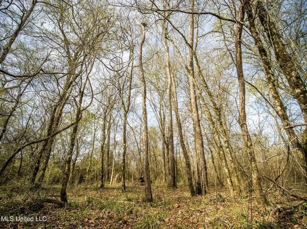 $544,000 | 0 River Bend Road, Lena, MS 39094