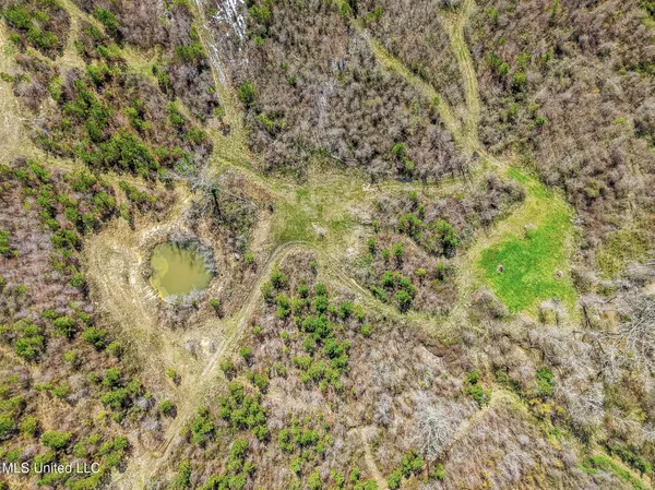 $544,000 | 0 River Bend Road, Lena, MS 39094