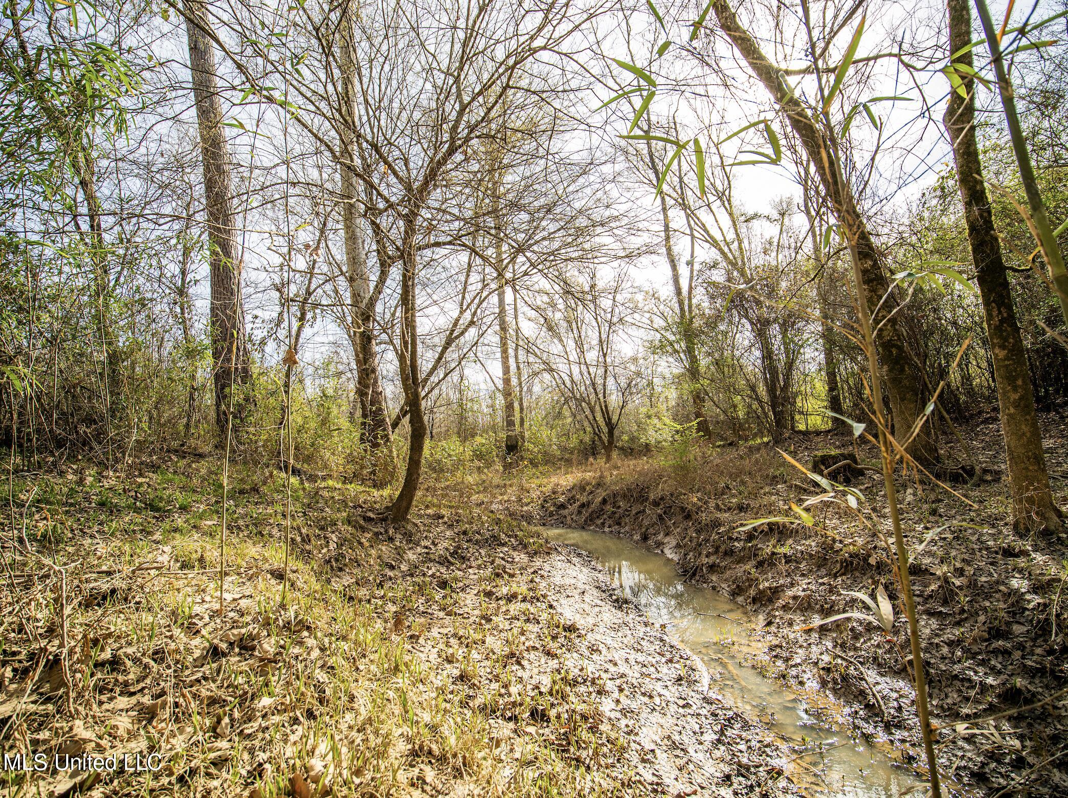 0 River Bend Road Lena, MS 39094 - Photo 9 of 33 Screen Shot 2025-09-25 at 6.35.32 PM