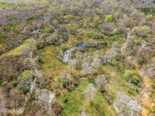 $544,000 | 0 River Bend Road, Lena, MS 39094
