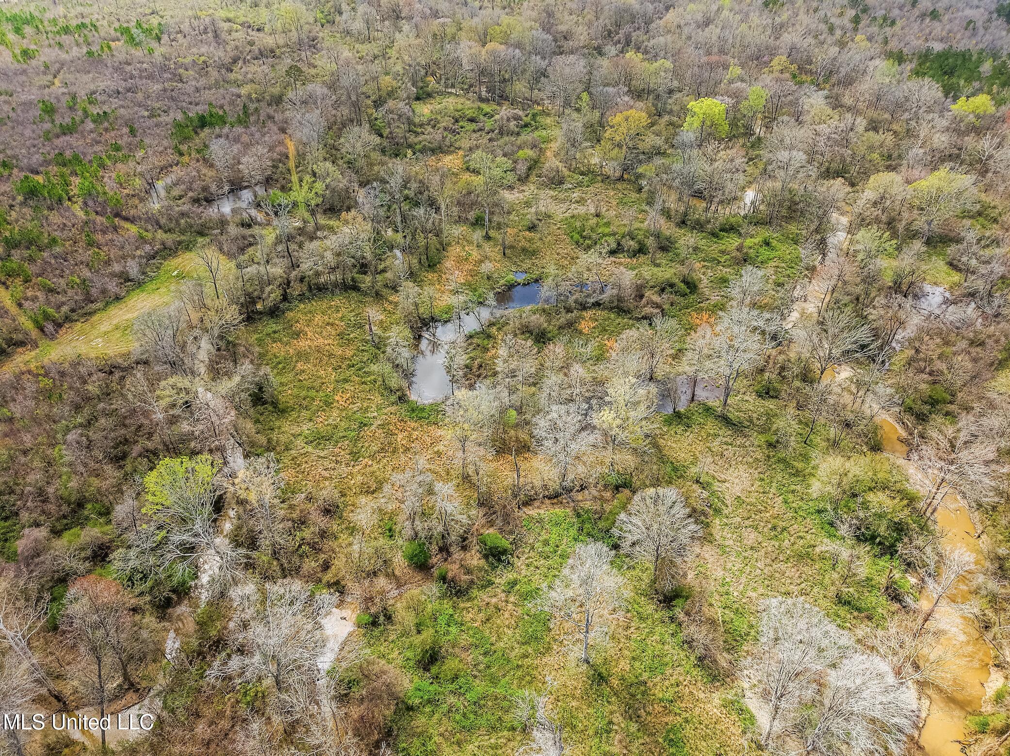 0 River Bend Road Lena, MS 39094 - Photo 10 of 33 Screen Shot 2025-09-25 at 6.32.28 PM