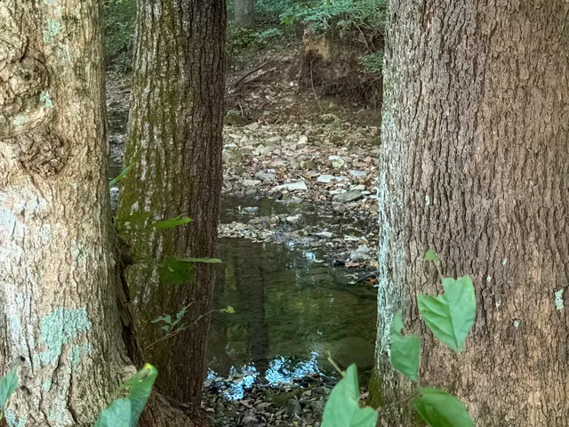 $139,000 | 4 Indian Creek Road, Cumberland Furnace, TN 37051